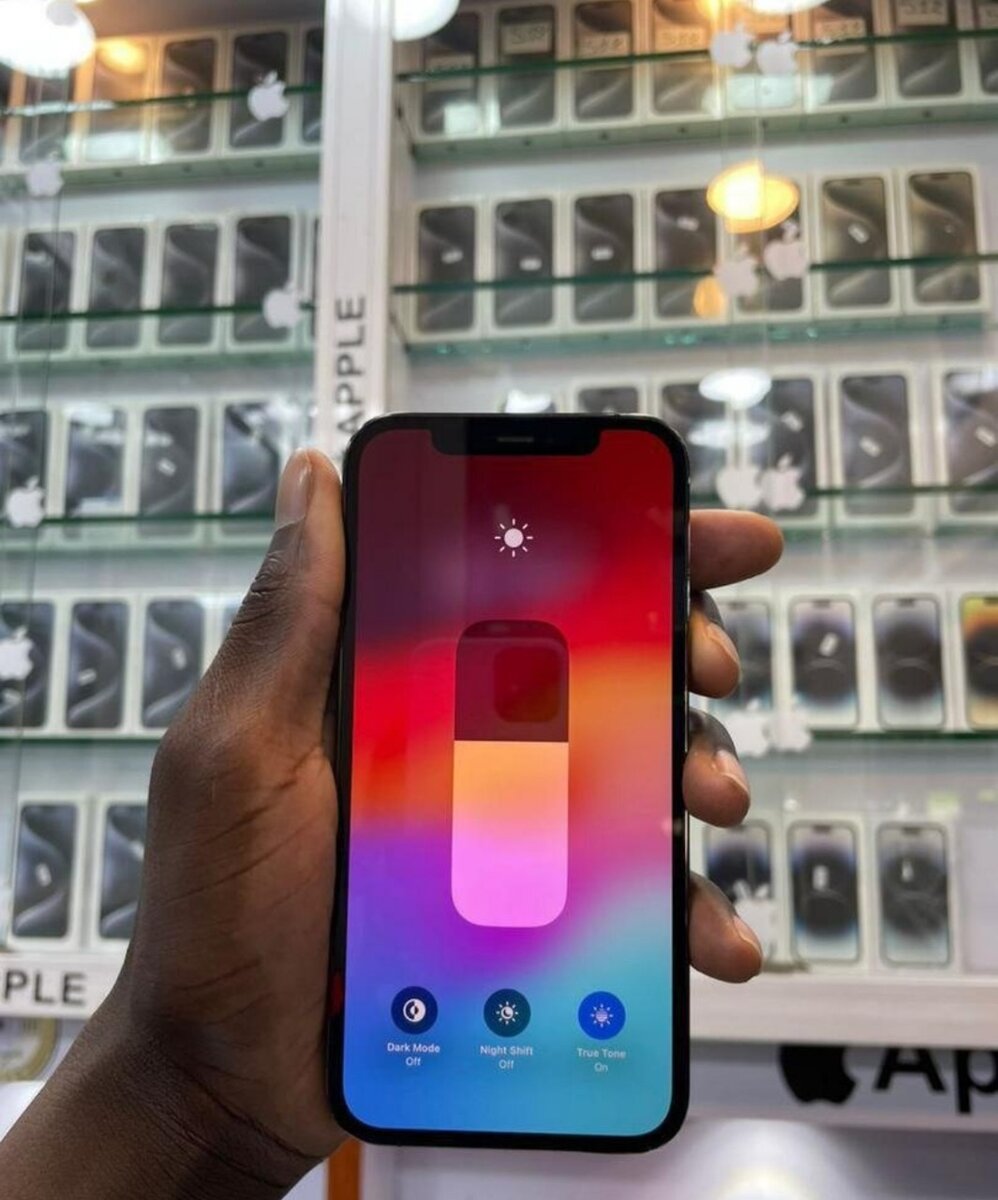 iPhone 12 Pro Max Gris