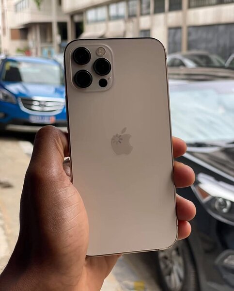 iPhone 12 Pro Max Argent