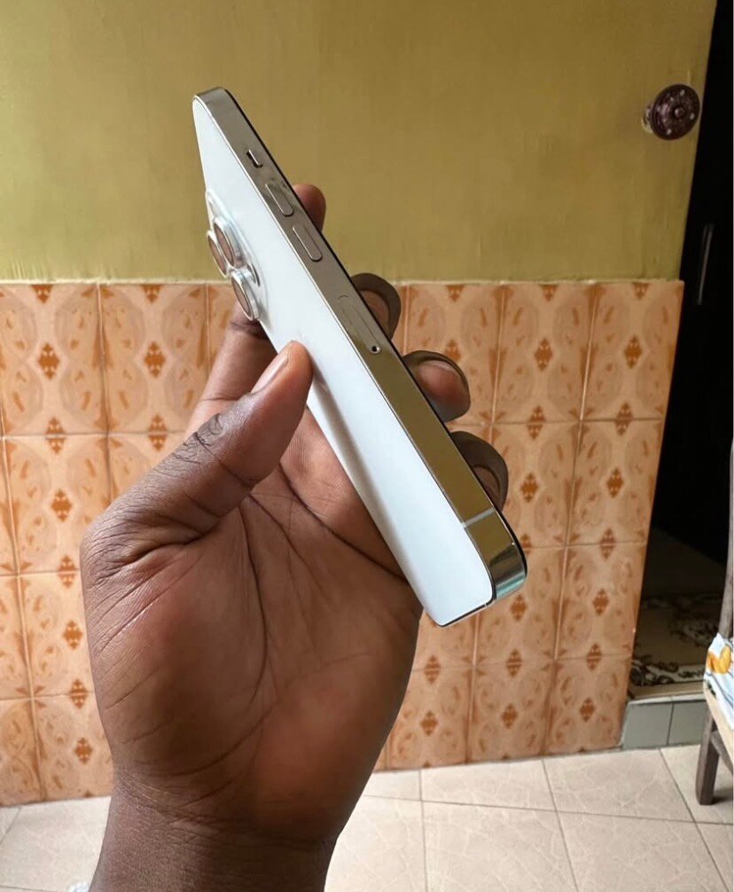 iPhone 13 Pro Max Blanc