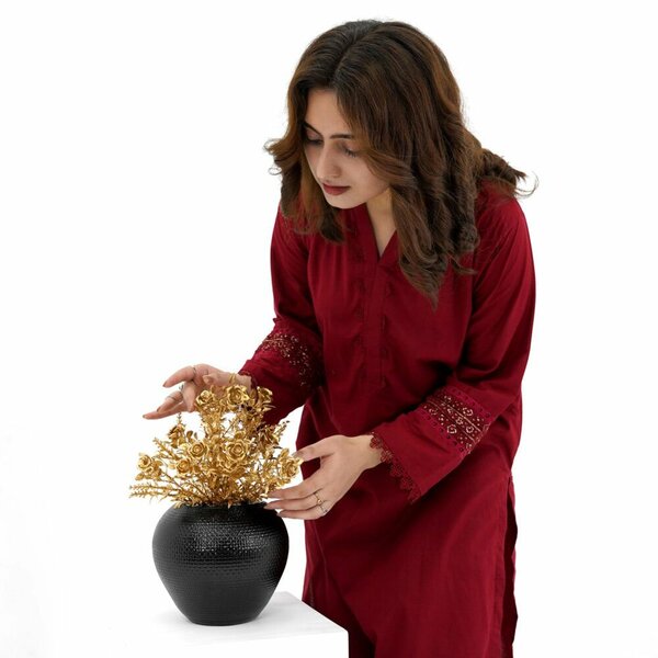 2 piece V Neck Mehroon Embroidered