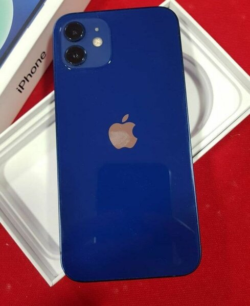 iPhone 12 bleu 128 Go