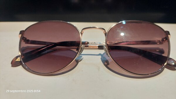 Lunettes de soleil rondes élégantes