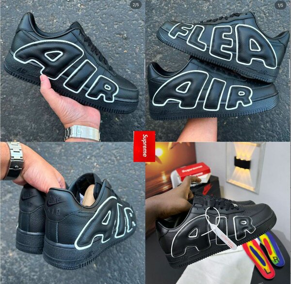 Air force cactus plant flea