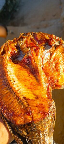 Semi dry Motomoya fish for sale