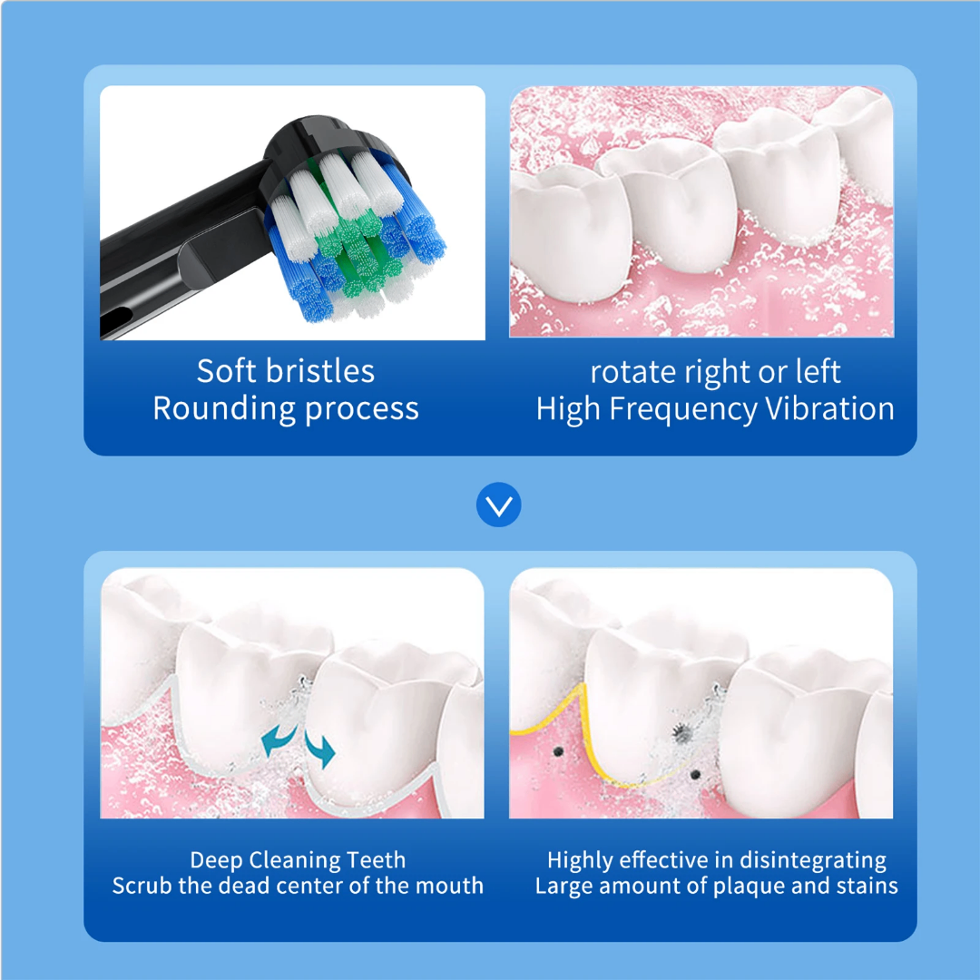 Brosse à dents électrique rotative