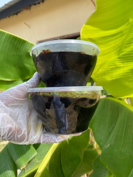 Savon Noir Naturel MK