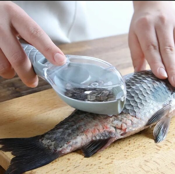 Écailleur à Poisson Pratique