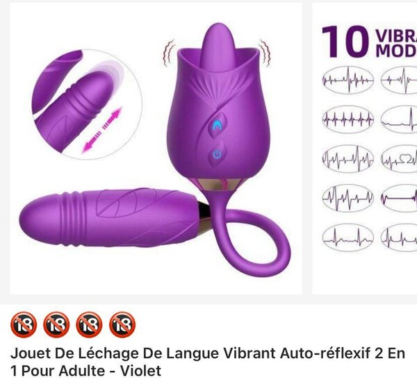 Stimulateur Vibrant 2 en 1