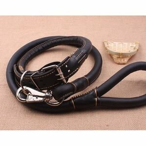 Laisse De Chien Adult En Cuir