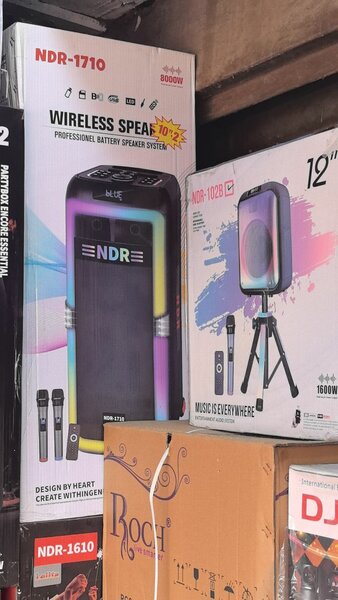 Enceinte Sans Fil NDR-1710