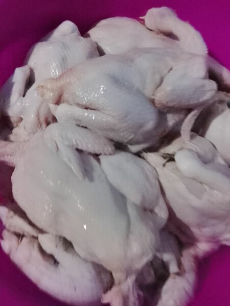 Poulet frais prêt à cuire