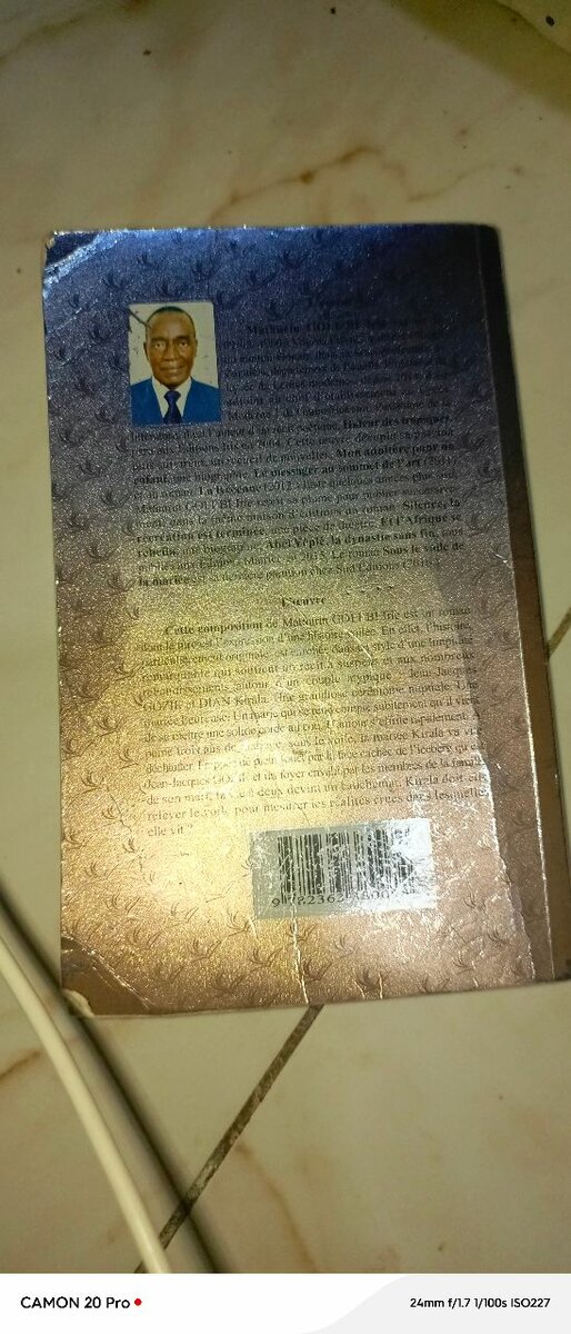 Sous le voile de la mariée