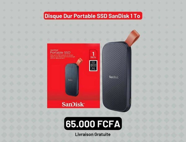 SanDisk SSD Portable 1TB Rapide