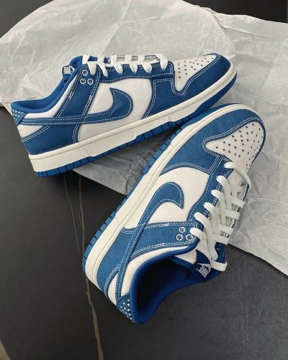 JORDAN NIKE SB COULEUR RARE