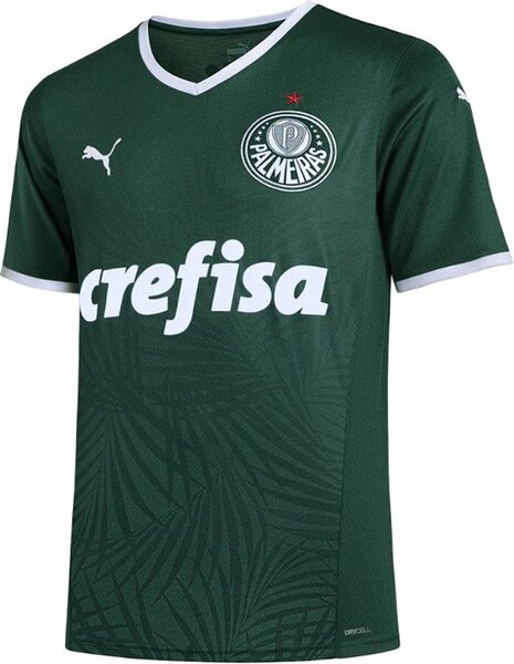 Maillot Palmeiras Homme