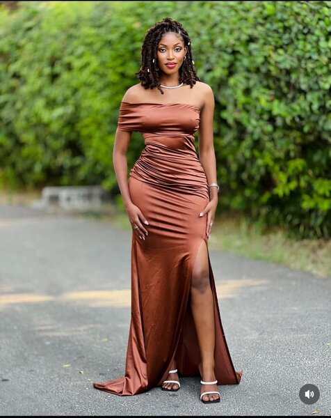 Women's long   brown dress
