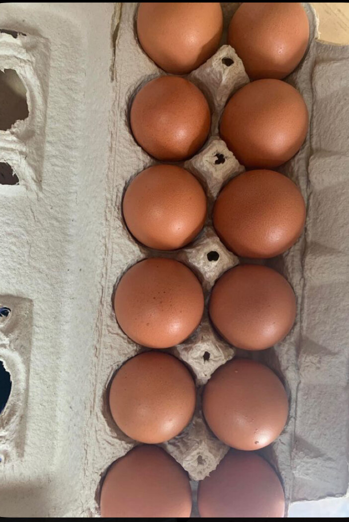 Œufs fermiers frais