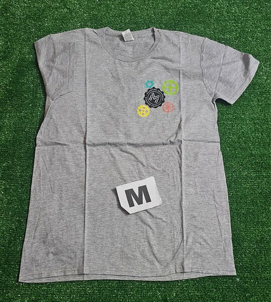 Tee shirt gris clair