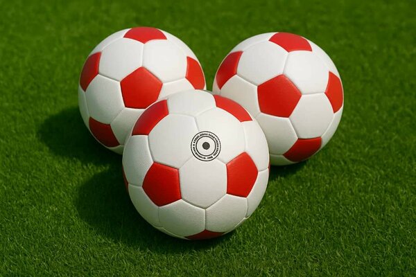 3 Ballons de Football Officiel