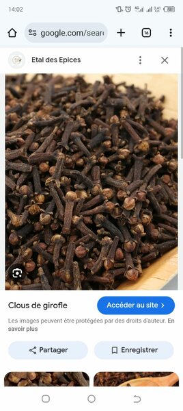 Phyllanthus Amarus et Épices