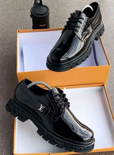 Louis Vuitton Dressing Shoes
