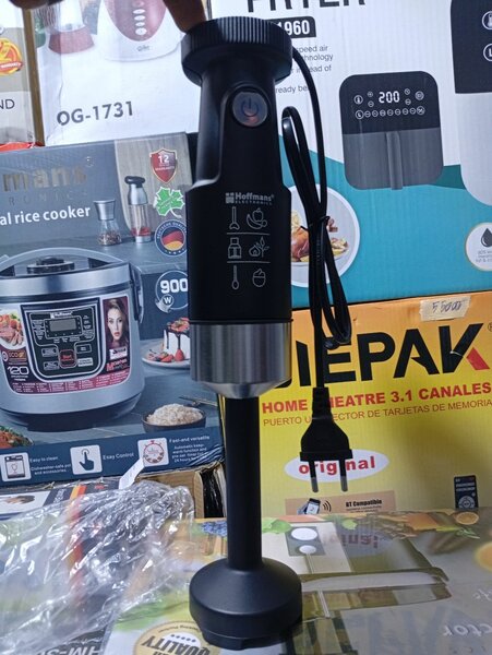 Mixeur plongeant Hoffmans 900W