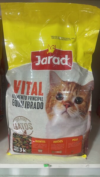 Jarad cat tood