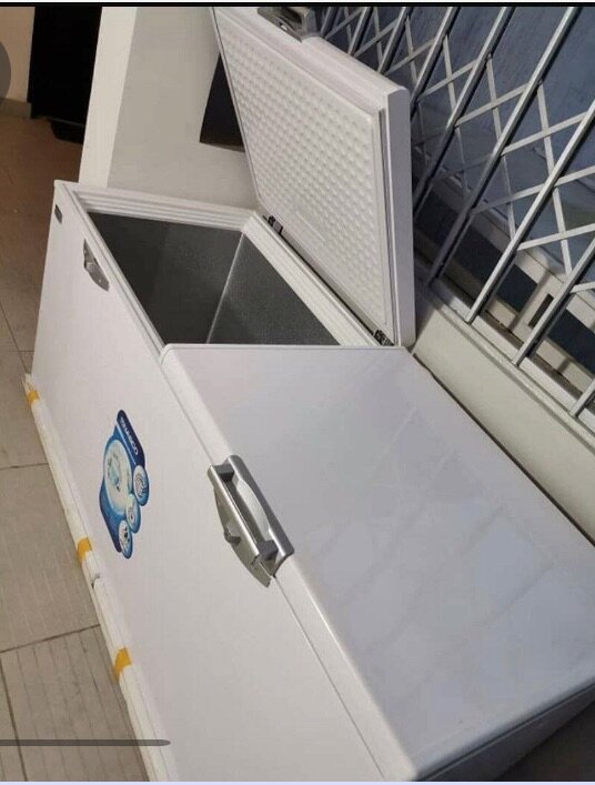 Congélateur coffre grande capacité