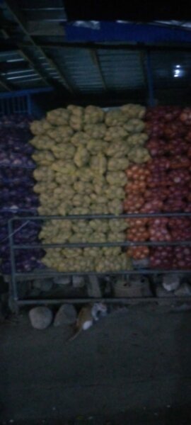 Assortiment de pommes de terre