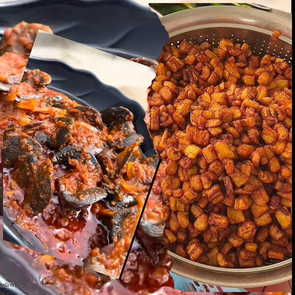 Escargot Sauter+Alloco