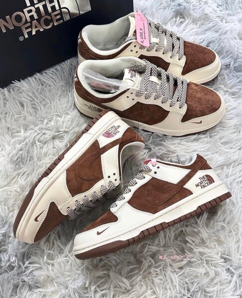 Nike Dunk Low North Face