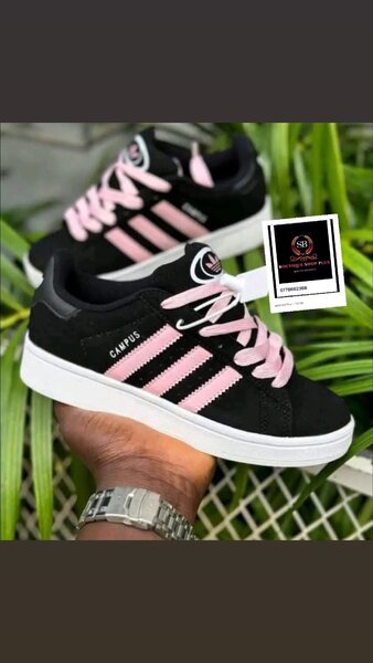 Basket adidas campus authentiq