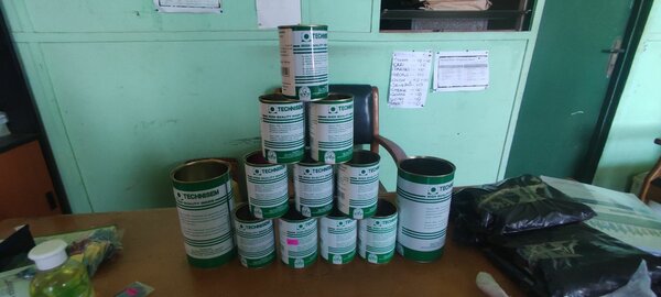 Seeds (repackaged) and seedlings