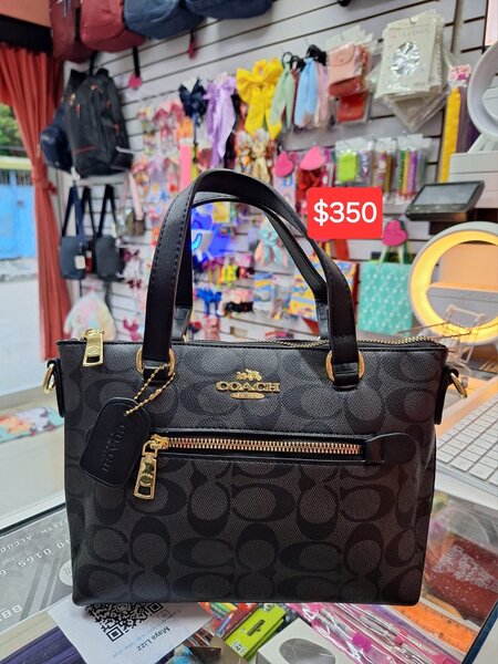 Sac à main Coach élégant