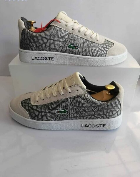chaussure Lacoste blanc gris