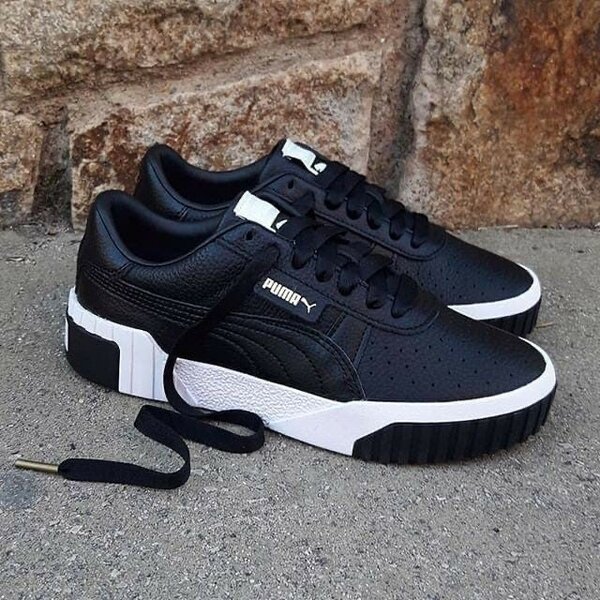 Puma cali (black and white )