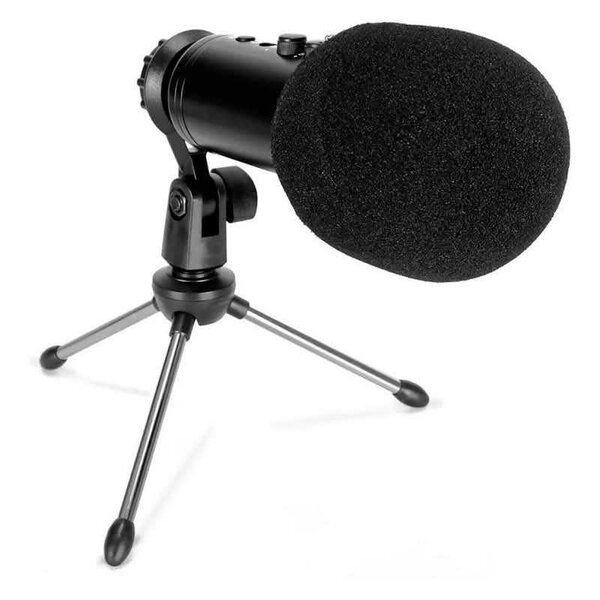 Podcast microphone