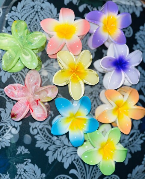 Barrettes fleurs et Barrettes à noeud