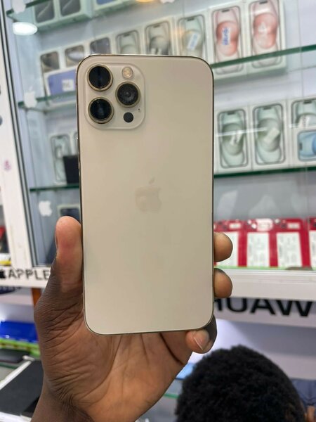 iPhone 12 Pro Max 256go quasi neuf