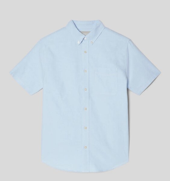 Everlane Lenin Oxford Shirt