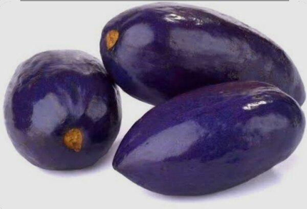 Fruits Safous Naturels