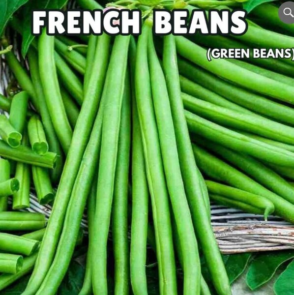 French Beans Seeds/ Green Beans (Imported) – 1 Kg