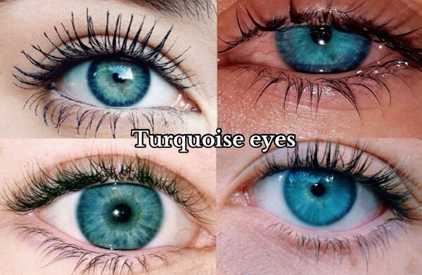 Étui Lentilles de Contact Vert