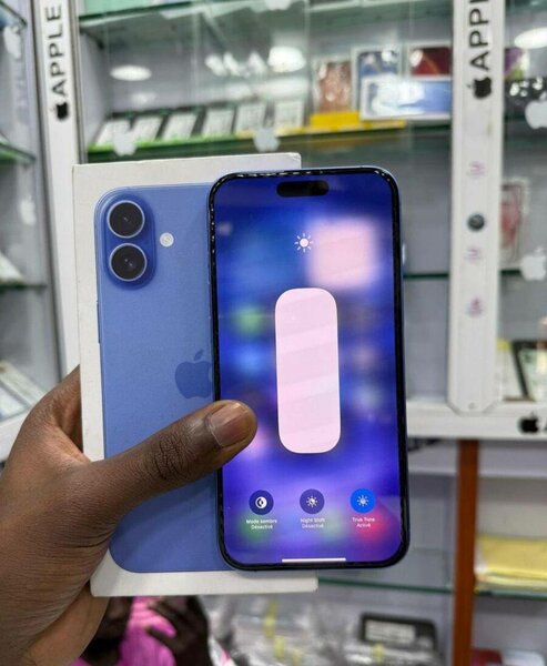 iPhone 16 Bleu Neuf 256 Go
