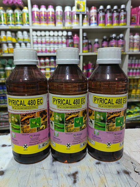 Insecticide Pyrical 480 EC