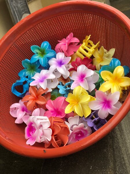 Pince à cheveux fleurie élégante