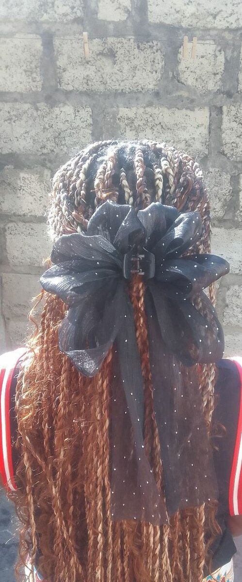 Butterfly hair claws