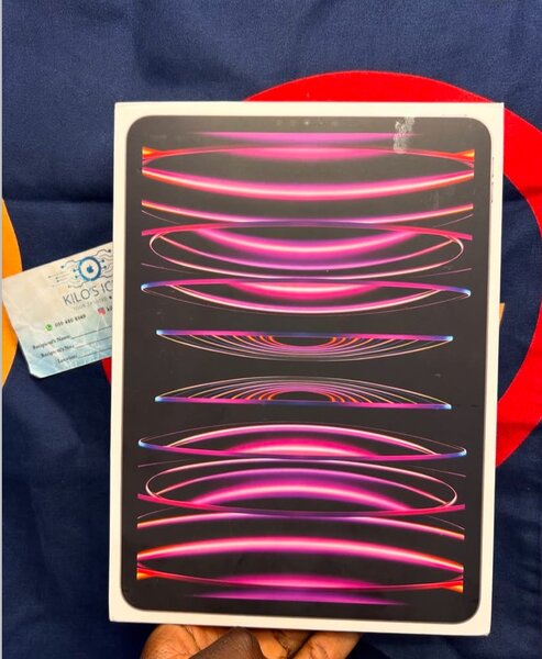 iPad Pro 11 inches 256GB