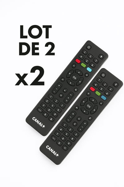 Télécommandes Canal+ Lot de 2