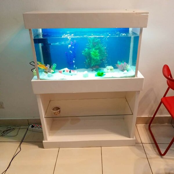 Aquarium moderne avec meuble